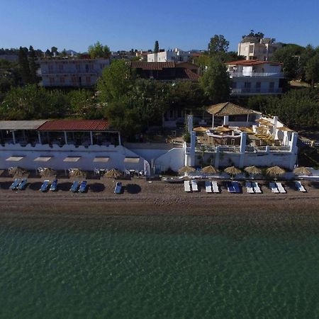 Taradella Hotel Alissos Buitenkant foto